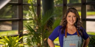 El regreso del tomillo: las hierbas que cuidan la tierra… y nuestra salud